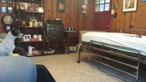 Oscar at Grandma's Bed